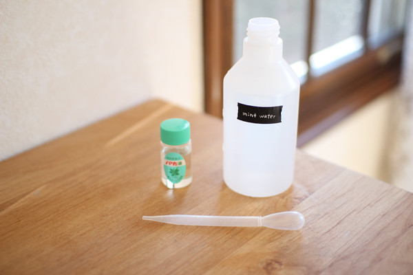 ハッカ油の便利な使い方6選！スプレーの作り方や注意点を解説 - トクバイニュース