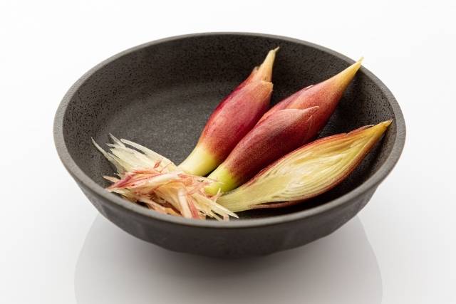 みょうがをパックのまま保存してない?こうすればシャキシャキ感とみずみずしさを長くキープできる! やってみた 暮らしニスタ