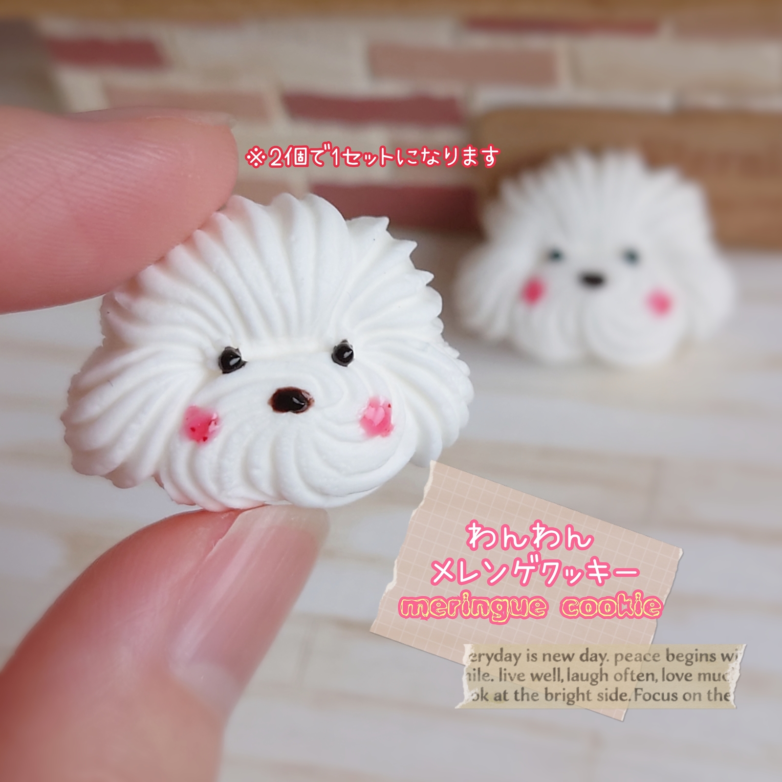 韓国風メレンゲクッキー福井韓国風カフェHugpopo ハグポポ韓国風カフェ Hugpopo ハグポポ のニュースまいぷれ 丹南・越前・鯖江