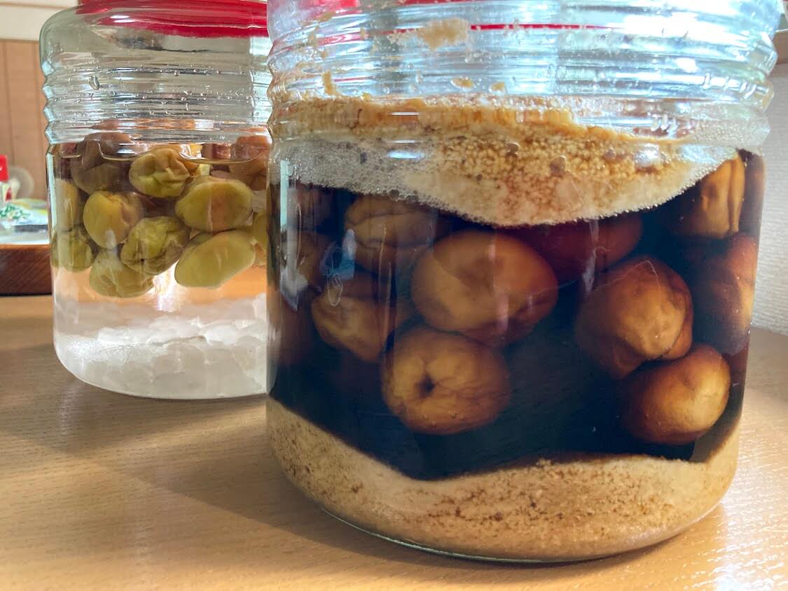 ジップロックで簡単梅シロップ！ 使うのはジップロックＬサイズ。 動画ではピンクのジッパー付いてるのを使っていますが、普通の青い冷凍用のジップロックのほうが丈夫で良かったです。ジップロックＬサイズ 梅500g 氷砂糖またはそのほかの糖分500g スパイスや、お酢など