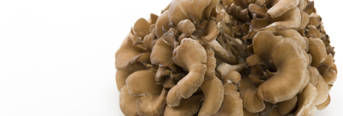 一正蒲鉾株式会社 - 一正のまいたけ