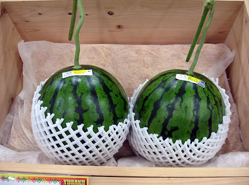 すいか - 季節の野菜・果物など - JAグループ茨城「Amore アモーレ」