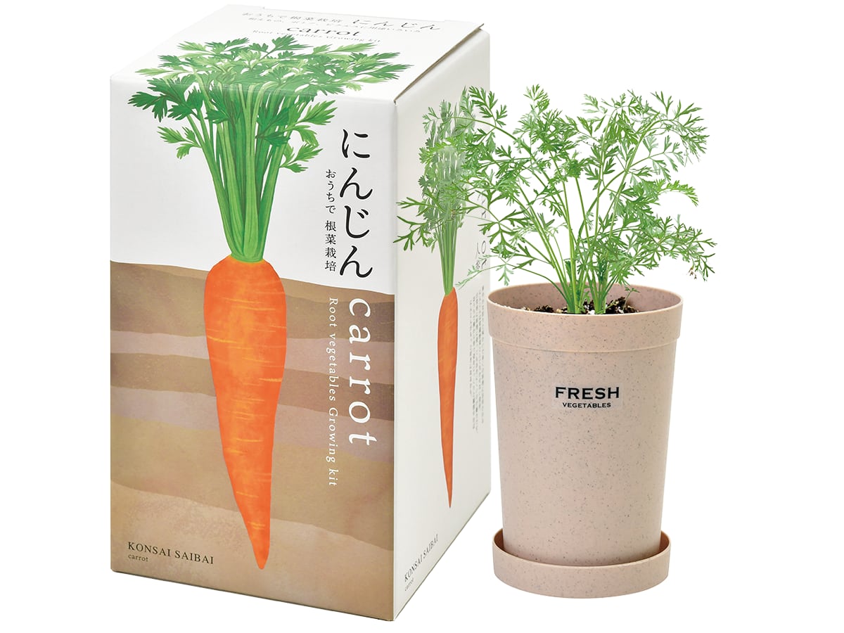 Amazon.co.jp: 聖新陶芸 通年 家庭菜園 簡単 栽培キット ゆったり育てる ミニキャロット 野菜 栽培セット自由研究食育鉢の幅約12cm バガスグリーン 母の日 プレゼント 誕生日 GD-95302 : ホーム&キッチン