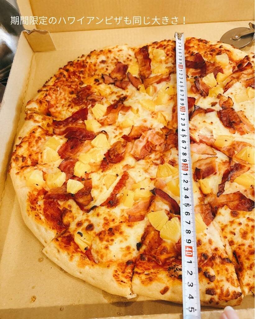 コストコテイクアウトピザの冷凍方とおいしい解凍方は？ランキンｇｏｏｄ