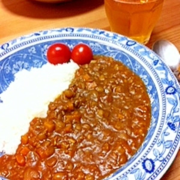 レンズ豆を賢くおいしく毎日のごはんに取り入れよう！おすすめアレンジ7選おうちごはん