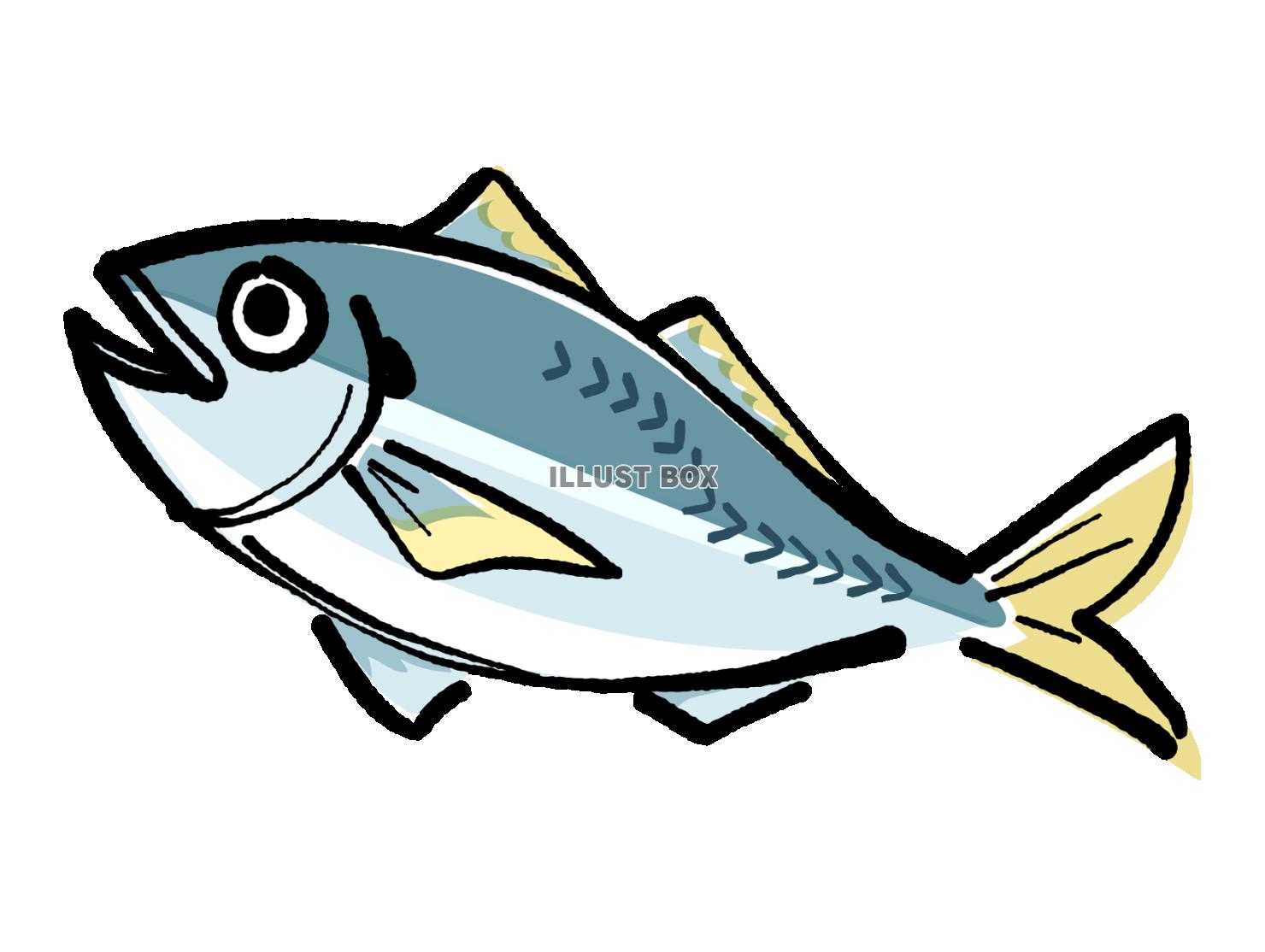 保存版 旬のおさかなカレンダー:魚のプロが教える12ヶ月の美味しい魚選び – 飲食店向け業務用仕入サイト - 居酒屋応援隊