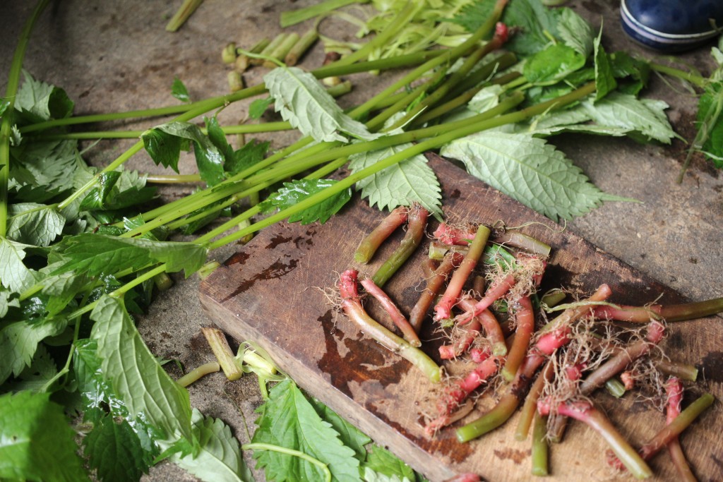 やまけんの出張食い倒れ日記: 山菜の季節が過ぎゆく、、、ミズとワラビのたたきが旨い