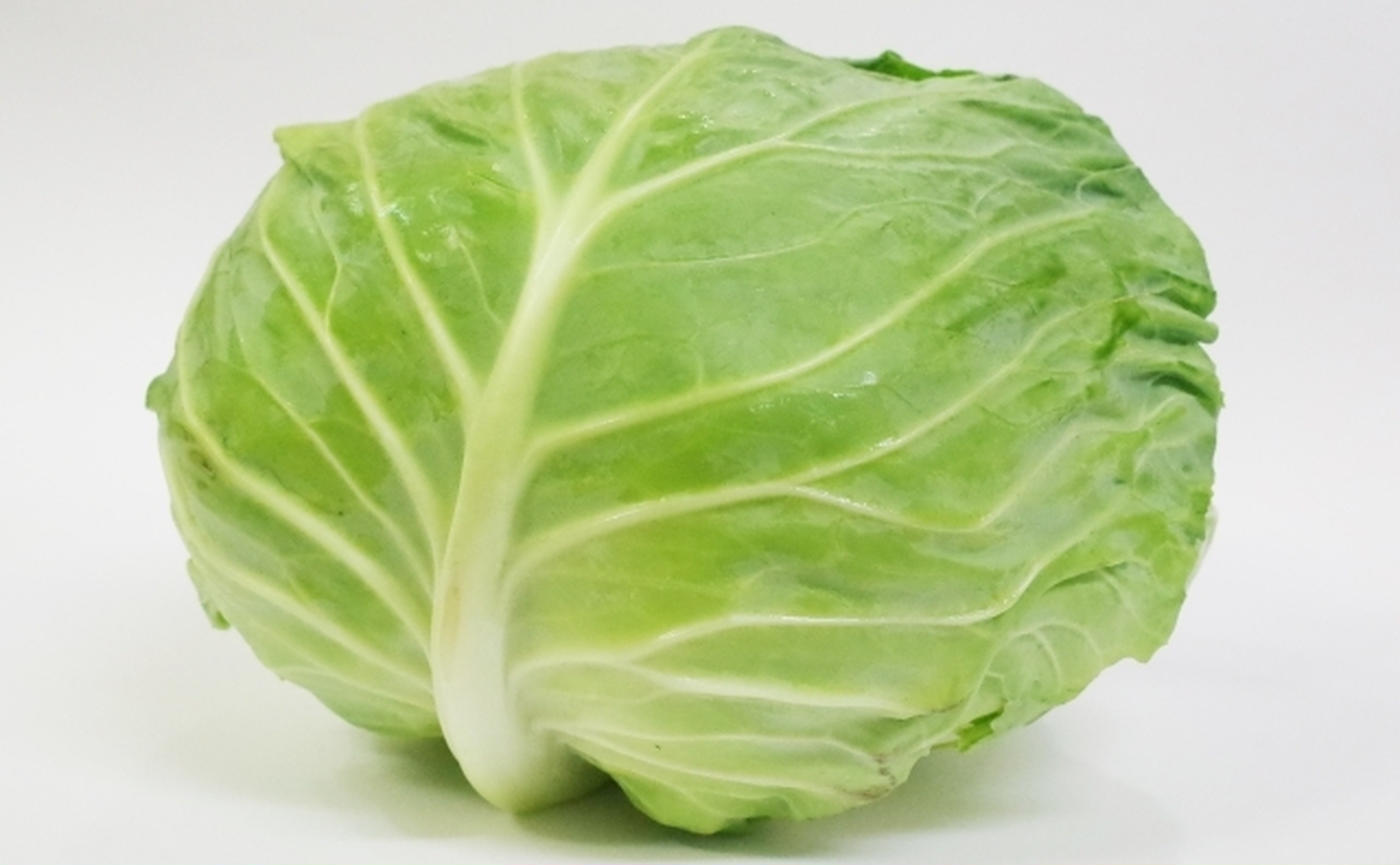 キャベツの保存ガイド！常温・冷蔵・冷凍で長持ちさせる方法・コツを紹介くらだしマガジン
