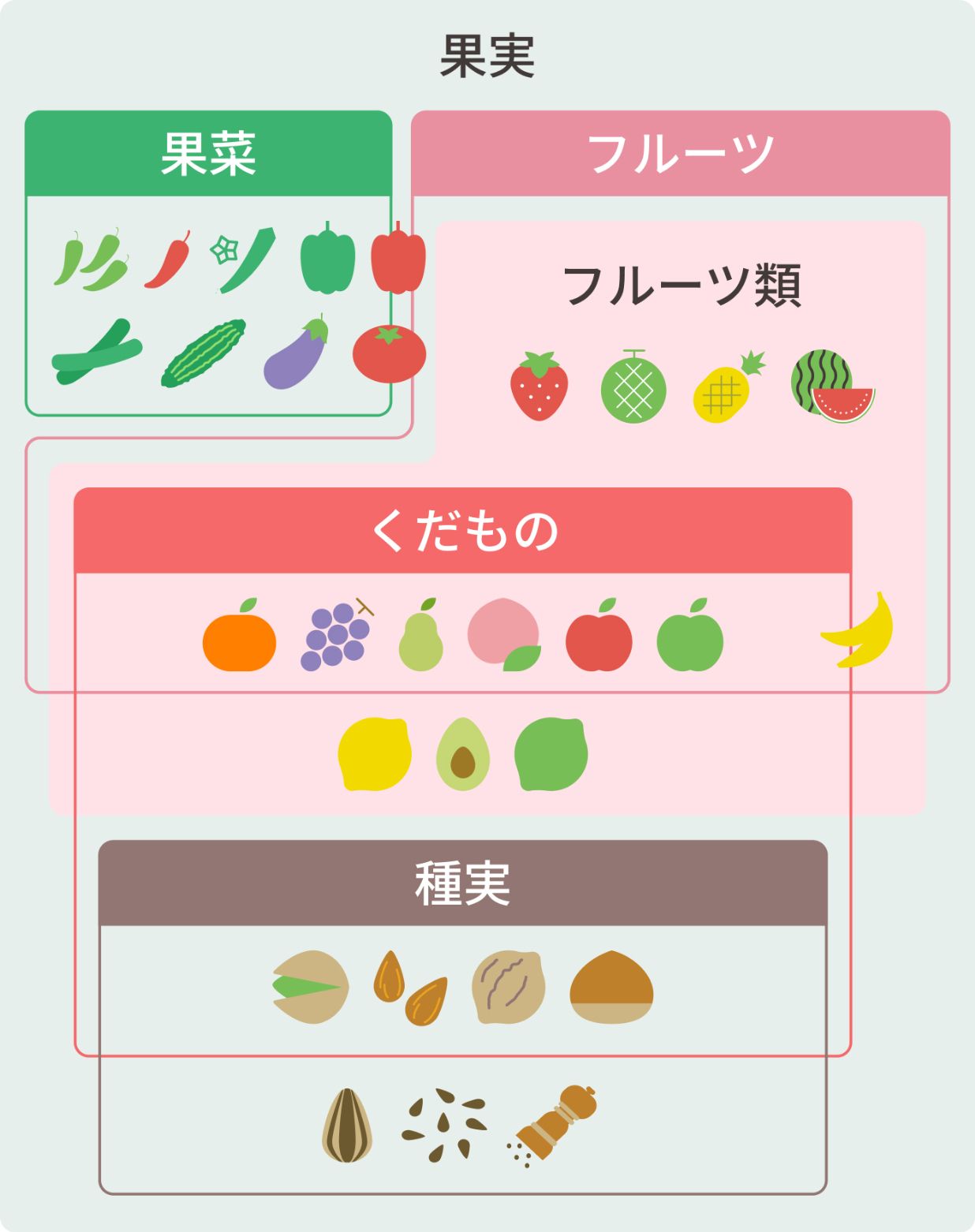 果樹 レアな果物、ポポーの実と種のぶらぼ