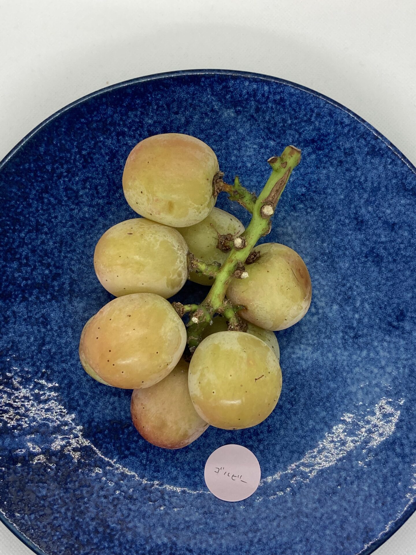 美味しいゴルビーの通販・露店販売愛知県大府市の山銀ぶどう園