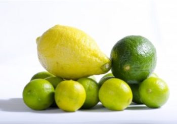 かぼすの保存方法冷凍・冷蔵・期間と保存食レシピ！すたちと違いは？野菜のおうち。常温と冷凍保存方法解説