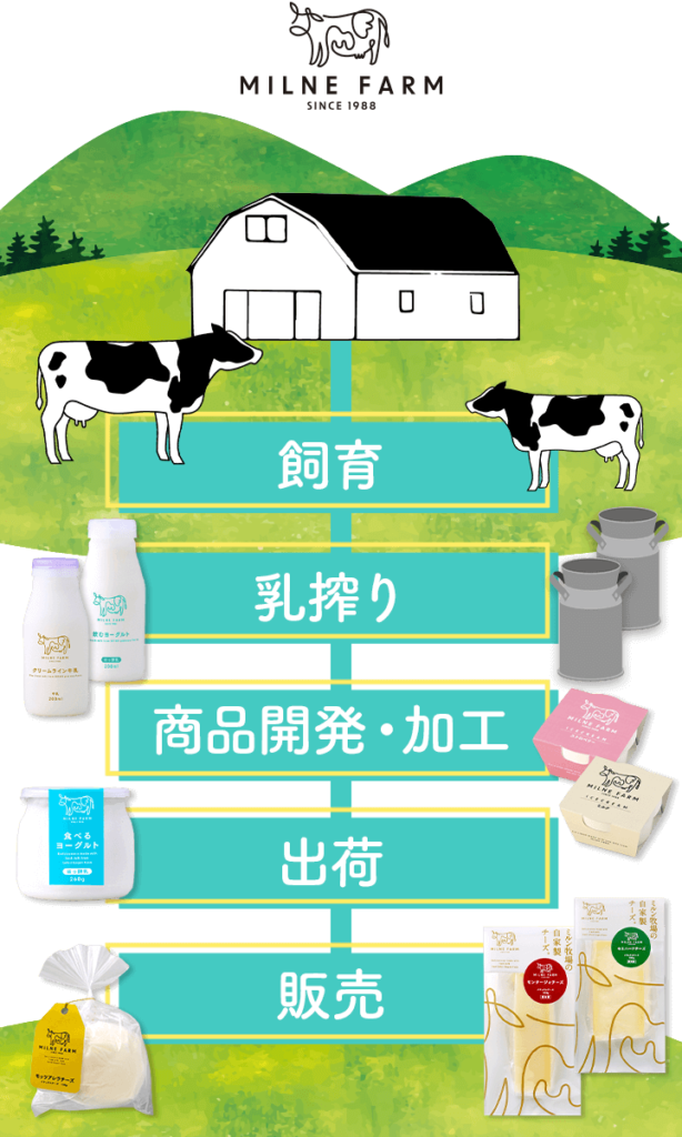 楽天市場 十勝搾りたてジャージ牛乳 12本 セット 牛乳 飲料 ミルク ジャージー牛乳 搾りたて 十勝 乳飲料 北海道 Jersey Brown味想百盛 沖縄・離島 お届け不可: 産直お取り寄せニッポンセレクト