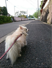 🌸五感で楽しむ花見山の春【視覚障がい者向け体験ツアー】開催 他の投稿は👉 @fukushima_tourism 視覚障がいのある方を対象に 