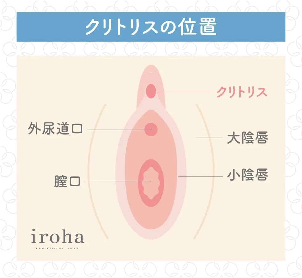 クリトリスの場所はどこ？構造・役割と快感を感じるためのいじり方 | Ray(レイ)