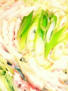 ミルフィーユ鍋 レシピ つくれぽ最新人気レシピランキング！殿堂入りレシピを中心にご紹介レシピランキングネット