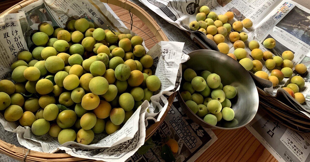 🍱梅の優しい酸味で、毎日の料理がグッと美味しく！✨ 👩‍🍳横山タカ子さん手作りの漬けこみ液を再現した「さしす」。 さ 砂糖 し 塩 す 酢 のとおり、甘味、塩味、酸味のバランスが絶妙で、1本で味が決まる万能調理酢です🥄🥢つけて、かけてはもちろん、煮物や