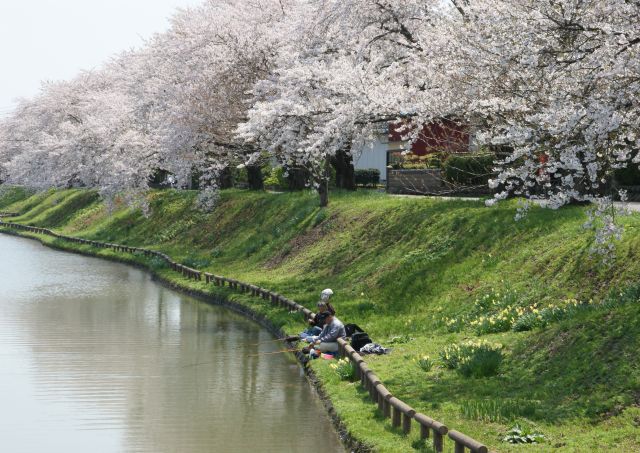 小出農園 koidefarm