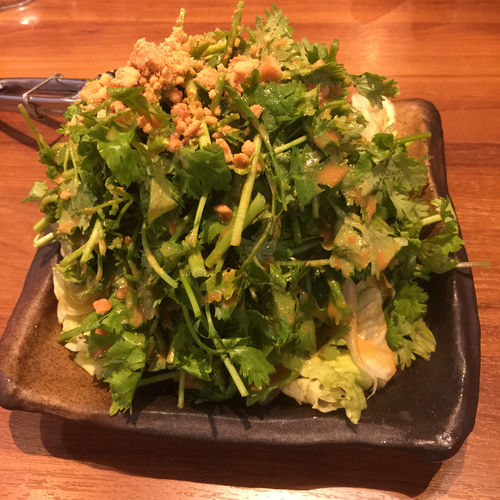 練馬 ダンダダン酒場練馬店 焼餃子、パクチーサラダ」 : じぶん日記