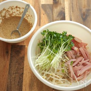 コスパ◎お手軽サラダ！ もやしとかいわれのサラダ