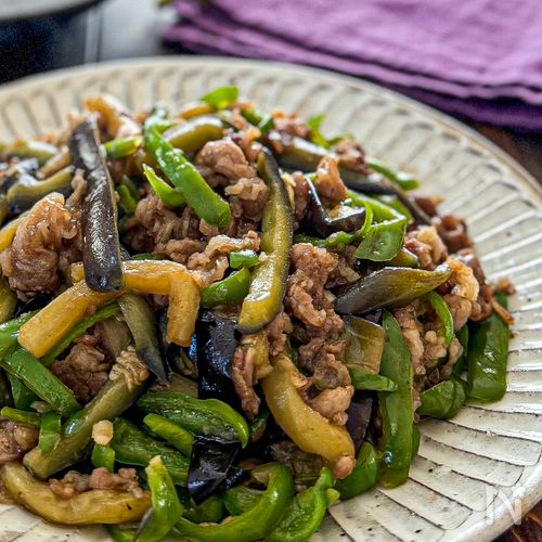 ナスとピーマンの中華炒め - 日本食品工業公式ショップ 自然食品『べんぶ』