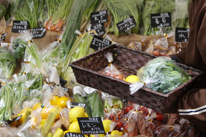 菜っ葉だけど、カラフルなスイスチャード : ちゅちゅたんの楽しい毎日