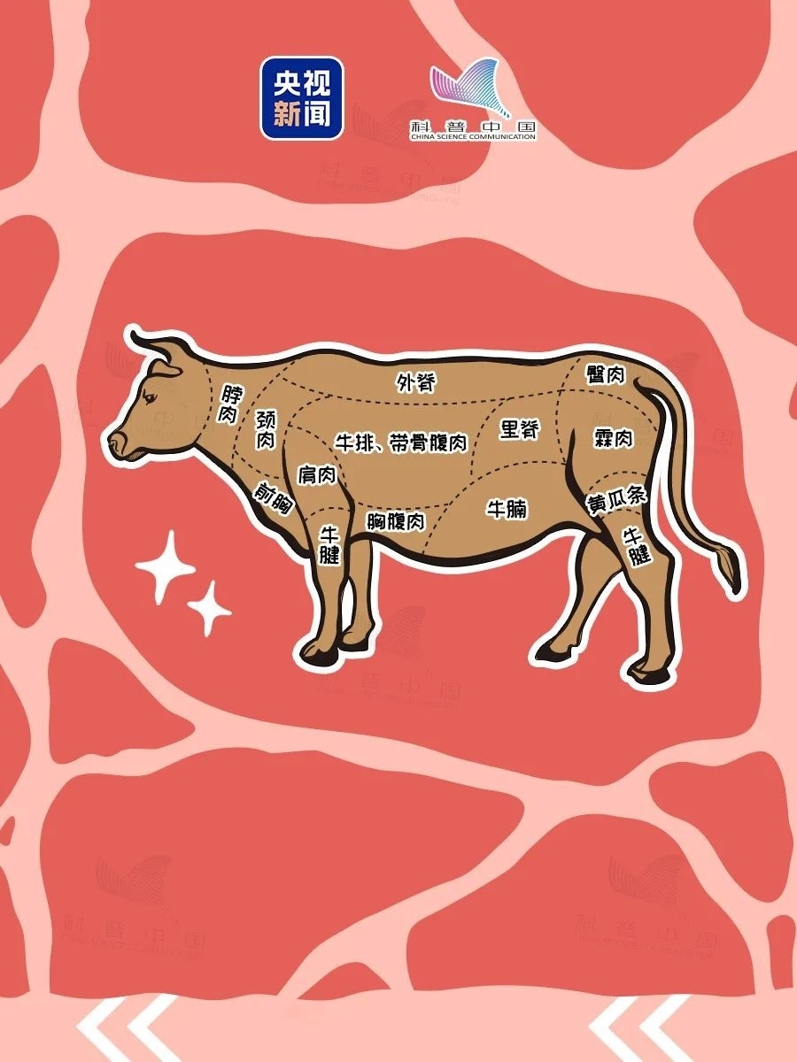 牛腩为何不能多吃？牛肋条肉和牛腩哪个贵？_脂肪_鉴别_表面