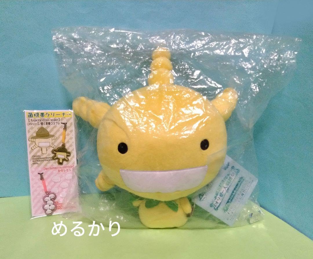 サッカロマイセス・セレビシエSaccharomyces cerevisiaeの特徴 - TechnoSuruga LaboratoryCo.,Ltd