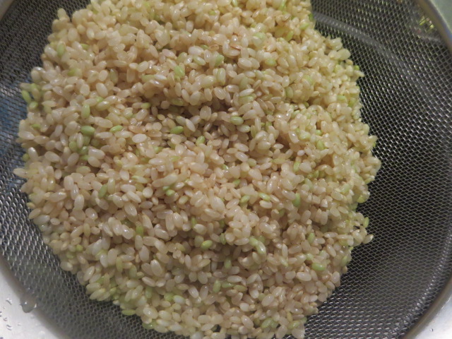 モチモチ美味☆ルクルーゼで玄米＆白米ご飯