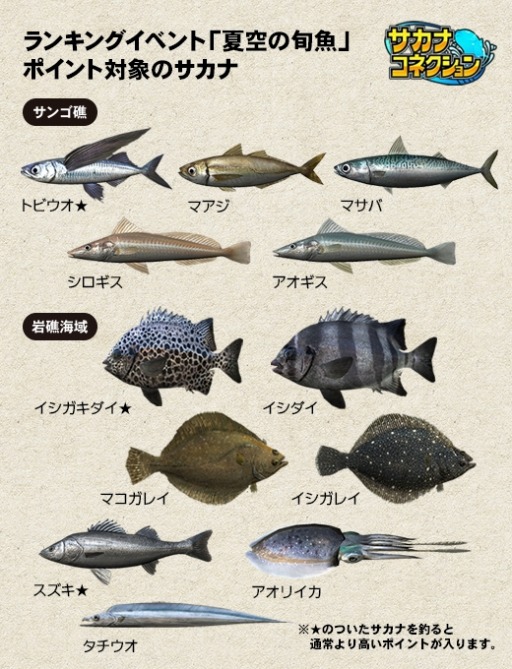 夏が旬の魚の特徴は