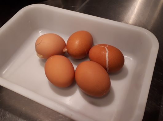 専門家が教える もっちり食感の冷凍卵～ぎゅっと！タマゴ～