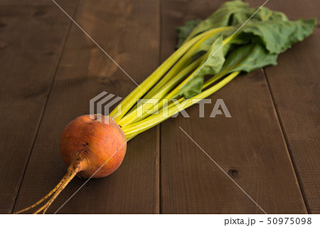 ゴールデンビーツ 八王子市