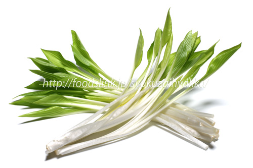 山菜・うるい 写真素材6698077- フォトライブラリ