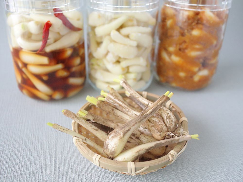 らっきょうの簡単レシピ・人気料理 1位～20位 - 楽天レシピ