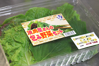 「キャベツのサムギョプサル風」レシピ きじまりゅうたさん