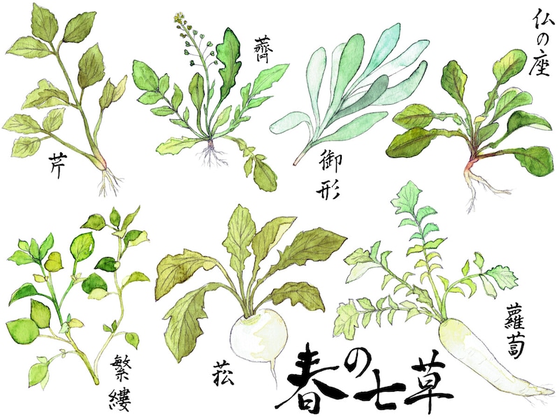 東京の畑で食育！ 「七草を摘んで七草粥を食べよう」トピックスとうきょうの恵みTOKYO GROWN