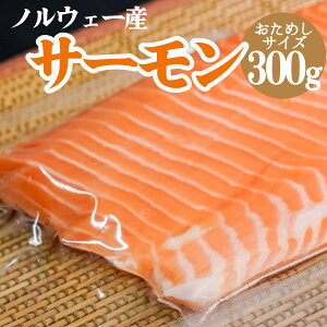 ０単価840円 パック単位1パック ノルウェー産 サーモントラウトミート 生食用すべての商品ポセイドンフーズ 業務用食材の卸売・通販