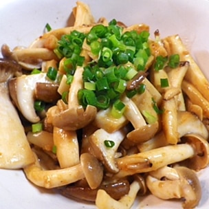 豆腐 卵 エリンギ えのき ニラTikTok