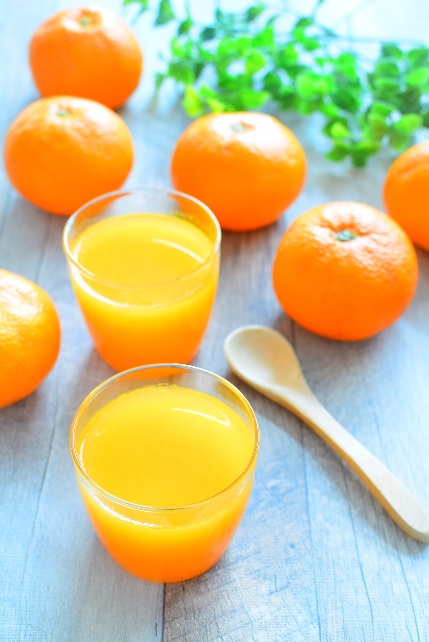 簡単でうまい！みかんの二層ゼリ