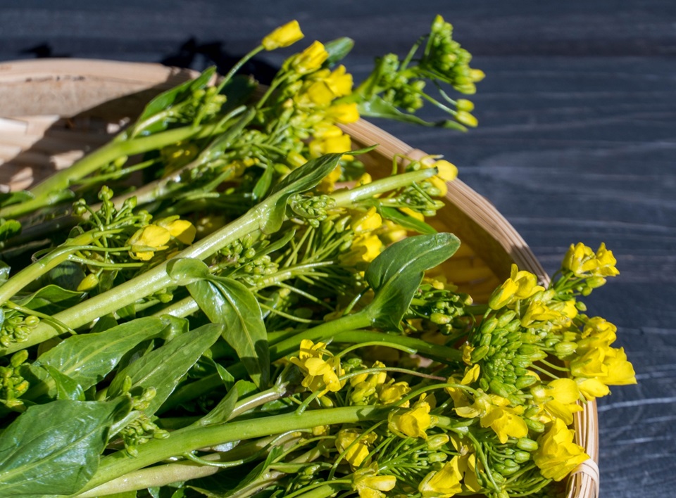 旬の花野菜・ブロッコリーでつくる「ブロッコリーとツナのホットサラダ」 – CASTOR & Laboratory