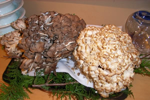 作り置き 冷蔵庫で1週間保存可能！何かと使えるきのこ料理レシピ5選 - レタスクラブ