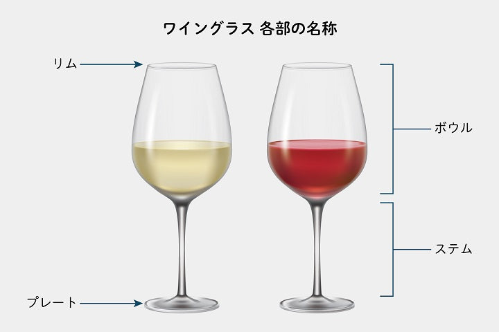 どれが正解？ワイングラスの正しい持ち方 – Cachette Secrete WINE GLASS