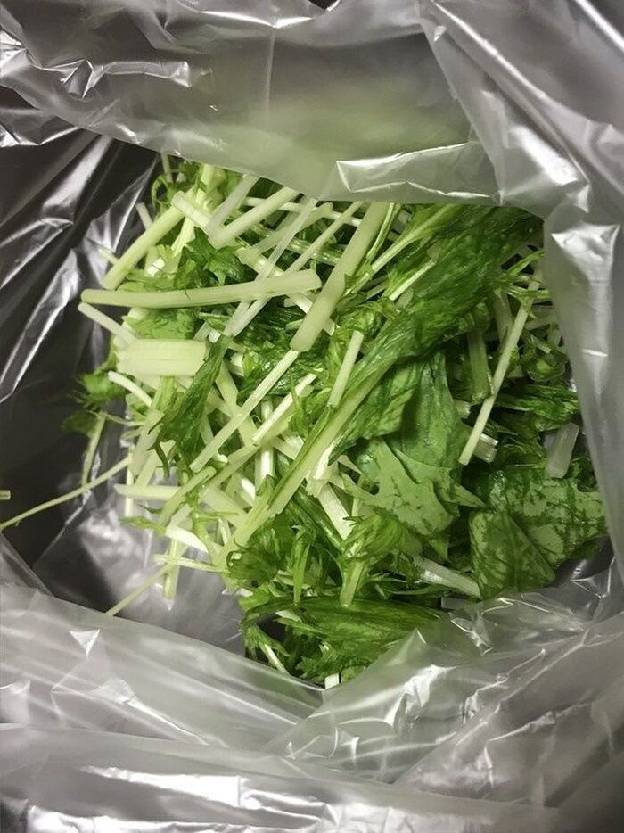 水菜の冷凍保存♪ by まねきねこにゃんクックパッド簡単おいしいみんなのレシピが392万品