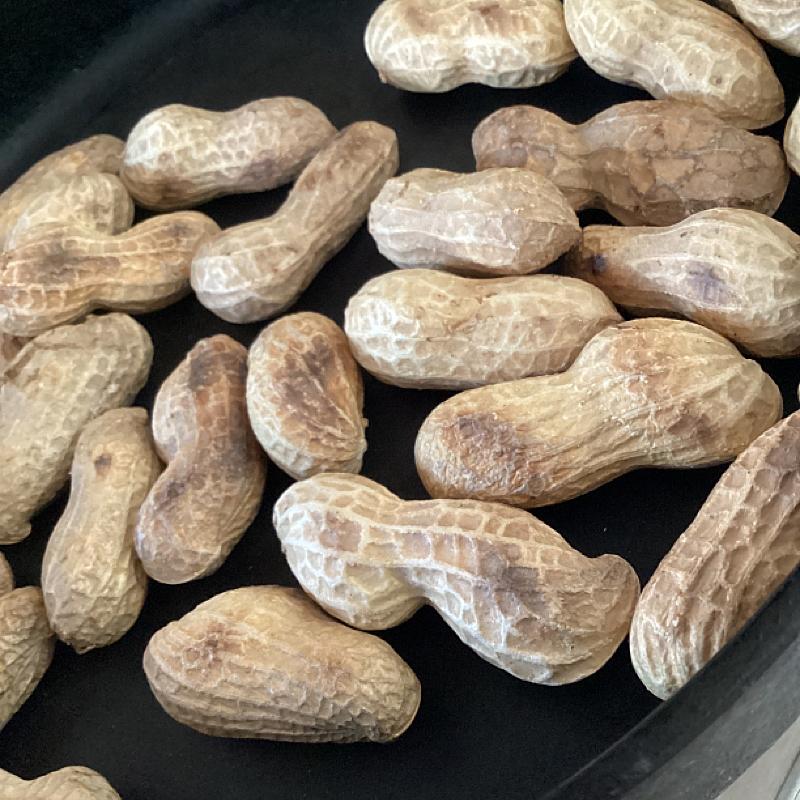 食べ方いろいろ！落花生の種類やレシピをご紹介デリッシュキッチン