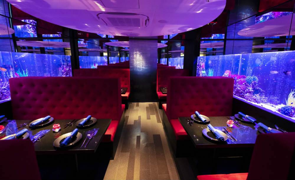 新宿西口駅のご飯で行きたい！美味しい人気店20選 - Retty レッティ