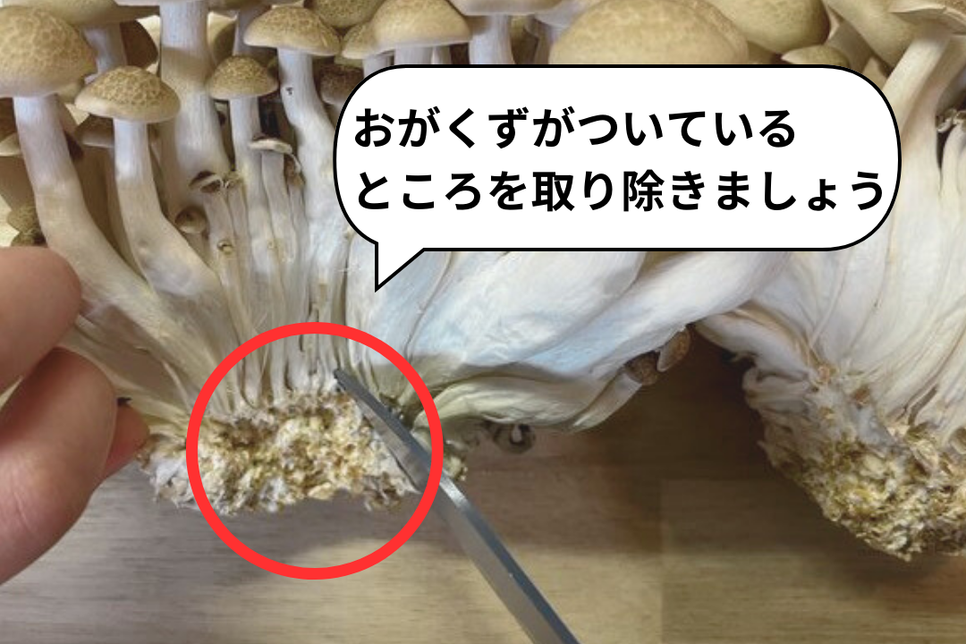 知らずに損しているかも？！ぶなしめじの正しい切り方関東きのこの会