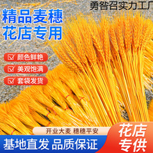 金黄麦穗花束代表什么意思- 花百科