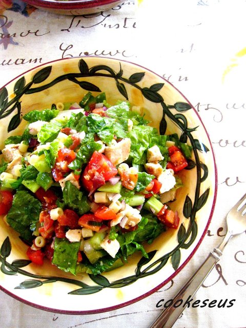 ロメインレタスの育て方JAとぴあ浜松