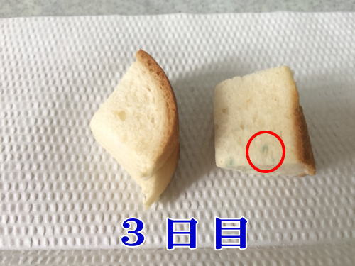 山崎製パンパンのカビ発生メカニズムと保存試験の結果について