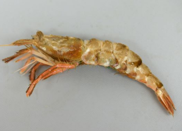 えび」の意味・いわれおせち料理特集・通販 2026年郵便局のネットショップ