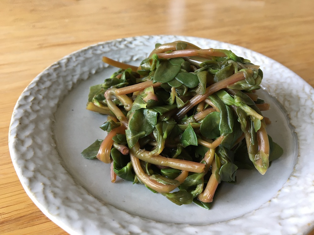 スベリヒユの食べ方！食用雑草・スベリヒユのおすすめレシピをご紹介！BOTANICA
